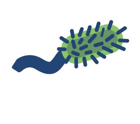 Pathogen 0